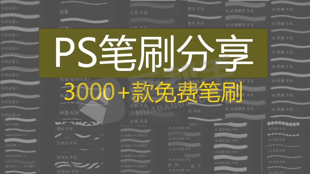 PS笔刷丨精选3000款常用高质量绘画笔刷合集